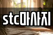 stc마사지
