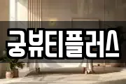 궁뷰티플러스