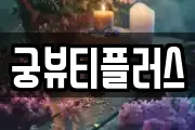 궁뷰티플러스