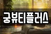 궁뷰티플러스