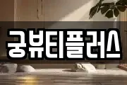 궁뷰티플러스