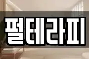 펄테라피