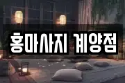인천광역시 계양구 용종동 마사지, 지압등 업체정보