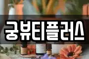 궁뷰티플러스