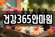건강365안마원