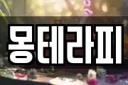 몽테라피
