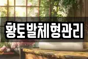 황토발체형관리