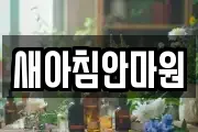 새아침안마원