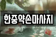 한중약손마사지