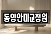 동양안마교정원
