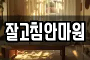 잘고침안마원