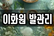 이화원 발관리