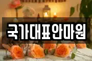 국가대표안마원