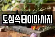 인천광역시 미추홀구 도화동 마사지, 지압등 업체정보