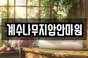 인천광역시 부평구 부개동 마사지, 지압등 업체정보