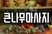 큰나무마사지