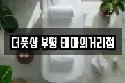 더풋샵 부평 테마의거리점