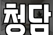 청담