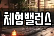 체형밸런스