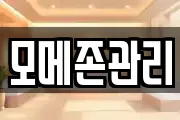 모메존관리