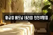 황금성 베트남 테라피 인천부평점