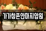 가가참존안마지압원
