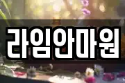 라임안마원