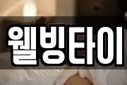웰빙타이