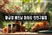 황금성 베트남 마사지 인천구월점