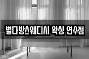 별다방스웨디시 왁싱 연수점