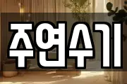 주연수기