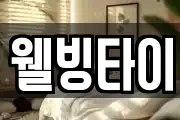 웰빙타이
