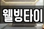 웰빙타이