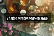 24시하수구막힘하수구역류누수탐지공사