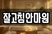 잘고침안마원