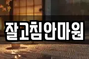 잘고침안마원