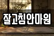 잘고침안마원