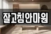잘고침안마원