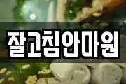잘고침안마원