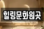 힐링문화원곳