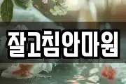 잘고침안마원