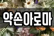 약손아로마