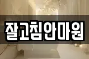 잘고침안마원