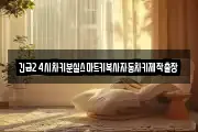 긴급24시차키분실스마트키복사자동차키제작출장