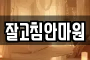 잘고침안마원