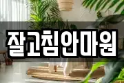 잘고침안마원