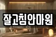 잘고침안마원