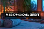 24시하수구막힘하수구역류누수탐지공사
