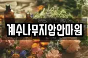 계수나무지압안마원