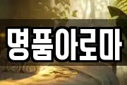 명품아로마
